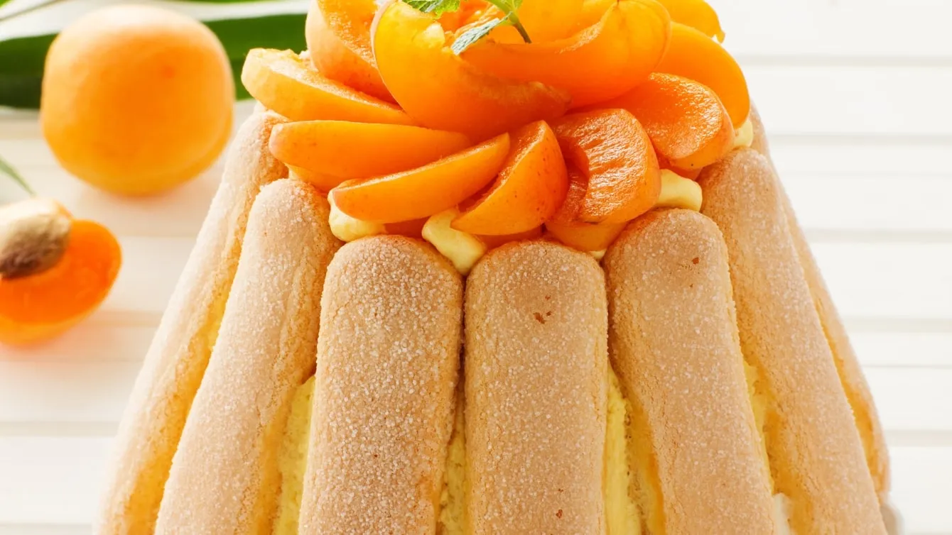 Recette charlotte aux pêches mascarpone et fromage blanc