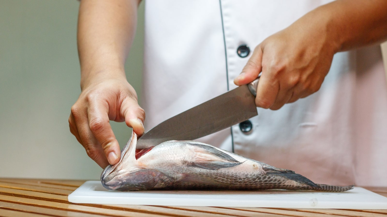 Différentes techniques de découpe du poisson